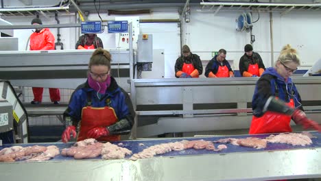 Frauen-Arbeiten-Am-Fließband-In-Einer-Fischverarbeitungsfabrik-1
