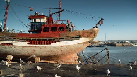 Essaouira-Boats-15