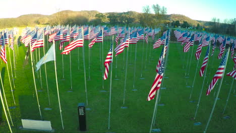 Una-Antena-Sobre-Una-Exhibición-De-Banderas-Americanas-Honra-A-Los-Veteranos-Americanos-1