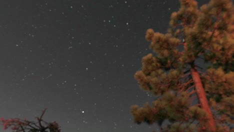 Zeitraffer-Von-Nacht-Zu-Tag-Mit-Sternen,-Die-Sich-über-Den-Himmel-Bewegen-Und-Lagerfeuerlicht-Auf-Einem-Baum-Flackert