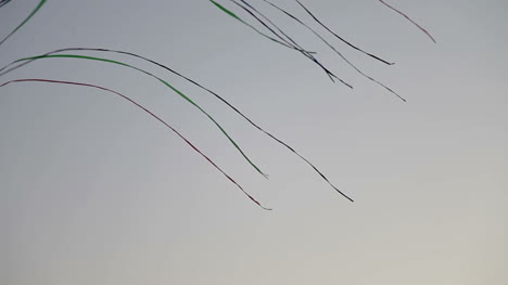 Kites-04