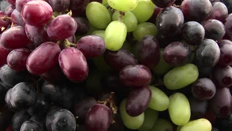 Slow-zoom-into-purple-red-and-green-grapes-sit-in-a-cluster