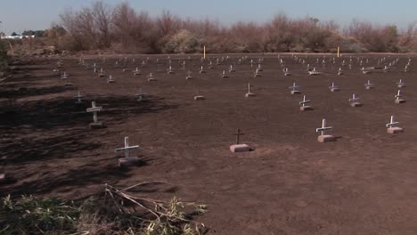 Graves-are-marked-with-small-white-crosses