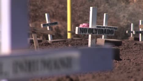 Many-crosses-and-gravestones-have-been-mounted-in-a-cleared-field-as-a-demonstration