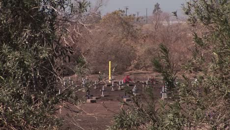 A-field-of-wooden-crosses-is-being-viewed-from-a-hillside-across-from-a-busy-roadway
