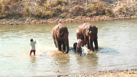 Zwei-Männer-Mit-Eimern-Werfen-Wasser-Auf-Ein-Paar-Elefanten-In-Einem-Fluss