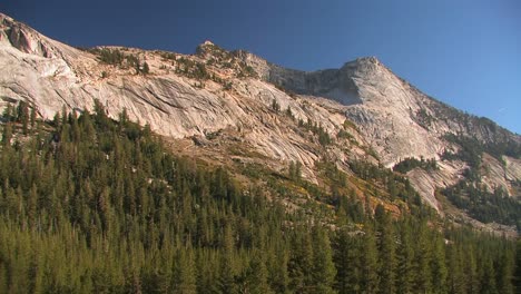 Trees-stand-at-the-edge-of-a-mountain-at-Tuolumne-Meadows-in-Yosemite-National-Park