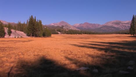 Tuolumne-Meadows-extends-towards-the-mountains-at-Yosemite-National-Park