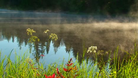 Steam-rises-from-Trillium-Lake-behind-grass-and-plants-near-Mt-Hood-in-Oregon