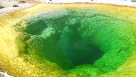 Una-Piscina-De-Agua-Humeante-Verde-En-El-Parque-Nacional-De-Yellowstone-1