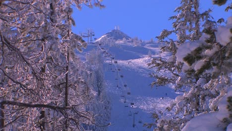 The-chairlift-at-a-busy-ski-resort-is-seen-through-a-covering-of-snow-clad-trees