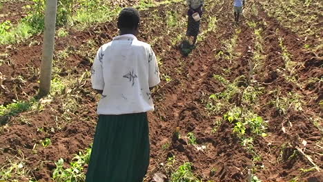 A-group-of-people-are-planting-seeds-in-a-field