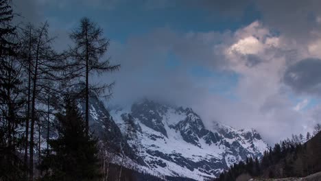 Pinos-Alpes-Montañas-00