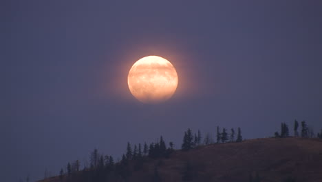 An-orange-moon-rises-behind-a-ridge
