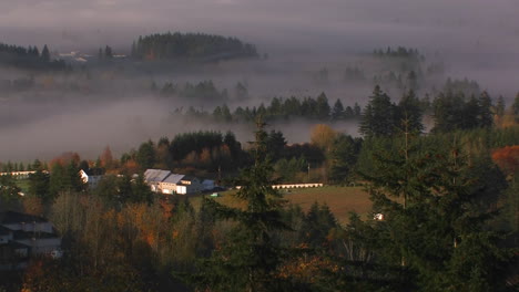 Nebel-Hängt-über-Dem-Weinland-Von-Oregon