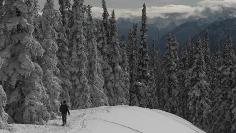 Ein-Mann-Mit-Schneeschuhen-über-Einen-Verschneiten-Berghang