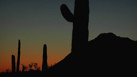 A-desert-scene-at-dusk-is-gradually-brought-into-focus-