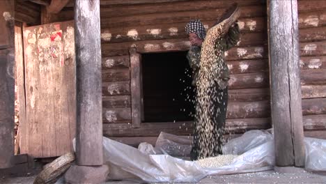 A-peasant-woman-threshes-and-pours-rice-on-a-farm-in-China