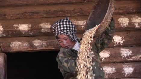 A-peasant-woman-threshes-and-pours-rice-on-a-farm-in-China-1