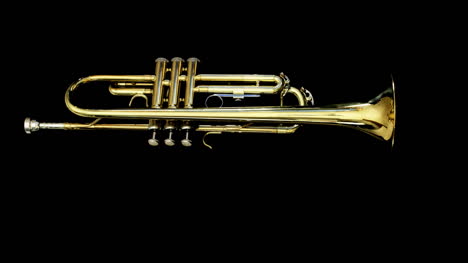 Trumpet-08