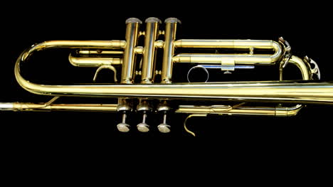 Trumpet-11