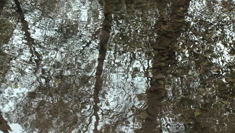 Reflexión-Abstracta-De-Ondas-En-El-Agua-En-Wheeler-Springs-Por-Encima-De-Ojai-California