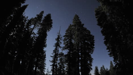 Time-lapse-of-star-trails-clouds-and-full-moon-rising-through-a-forest-at-Jackson-Meadow-Reservoir