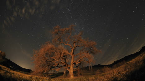 Lapso-De-Tiempo-Nocturno-De-Senderos-De-Estrellas,-Nubes-Y-Roble-Del-Valle-Durante-Una-Luna-Nueva-En-Oak-View-California