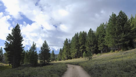 Zeitraffer-Von-Wolken,-Die-Sich-über-Einen-Wald--Und-Schotterweg-Im-Sequoia-National-Forest-In-Der-Nähe-Von-Kernville-Kalifornien-Bewegen