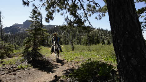 Un-Hombre-Montado-En-Su-Caballo-En-El-Pacific-Crest-Trail-Cerca-De-Packer-Lake-Saddle-En-La-Sierra-Buttes-En-Tahoe-National-Forest,-California