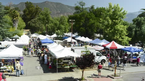 Wide-angle-Time-lapse-of-people-from-above-the-Ojai-Farmers-Market-in-Ojai-California