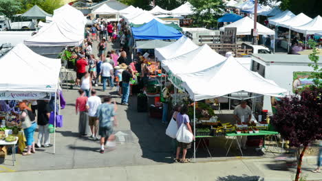 Time-lapse-of-people-from-above-the-Ojai-Farmers-Market-in-Ojai-California