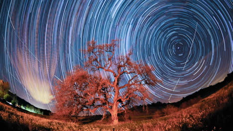 Time-lapse-star-trail-streaks-over-a-valley-oak-tree-near-Ojai-California