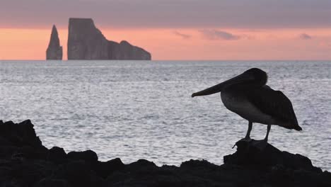 Pelikan-Silhouette-Und-Leon-Dormido-Von-Cerro-Brujo-Auf-Der-Insel-San-Cristobal-Im-Galapagos-Nationalpark-1