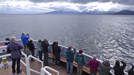 Tourists-admire-killer-whales-from-a-boat-in-Alaska