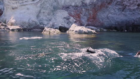 Schöne-Aufnahme-Von-Seelöwen,-Die-In-Baja-California-Mexico-Schwimmen-Und-Aus-Dem-Meer-Springen-3
