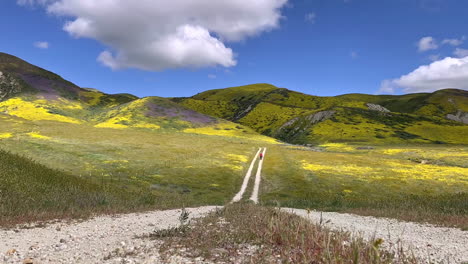 Carrizo-Plain-Road-Time-Lapse-De-Nubes-California-Wildflower-Superbloom-Con-Fotógrafo