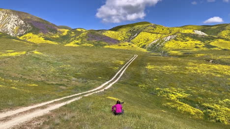 Carrizo-Plain-road-and-women-with-yellow-wildflowers-California-wildflower-superbloom