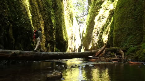 A-man-hikes-with-a-walking-stick-across-a-fallen-tree-in-a-deep-gorge