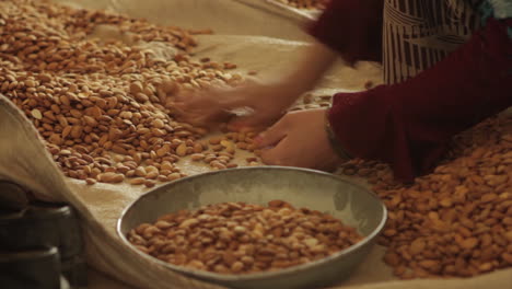 Women-work-in-a-factory-in-Afghanistan-producing-and-packaging-dried-almonds-4