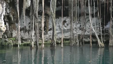 Cenote-02