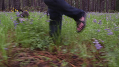 POV-shot-from-a-low-level-of-a-man-and-his-dog-walking-through-a-forest