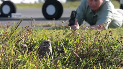 A-nature-photographer-takes-photos-of-a-burrowing-owl-at-its-nest