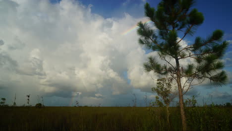 Lapso-De-Tiempo-De-Nubes-Sobre-Los-Everglades-3