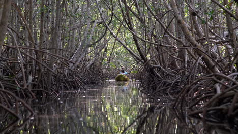 Two-men-row-a-canoe-through-the-Florida-Everglades