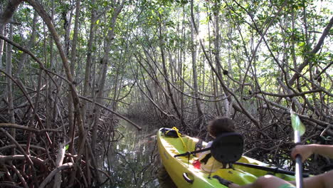 A-father-and-child-row-a-kayak-through-the-mangroves-in-the-Everglades