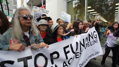 Jane-Fonda-leads-protestors-in-Hollywood-marching-against-the-Dakota-access-pipeline-5