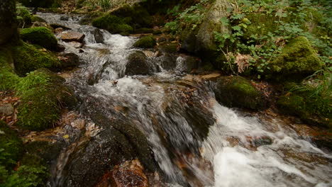 A-beautiful-waterfall-flows-through-a-forest-region