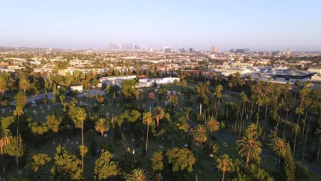 Eine-Ausgezeichnete-Luftaufnahme-Von-Palmen-Auf-Einem-Friedhof-In-Los-Angeles,-Kalifornien