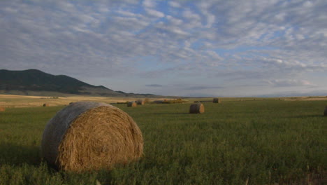 Bales-Of-Hay-Sit-In-Green-Fields-On-A-Prairie-Farm